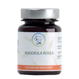 rhodiola rosea