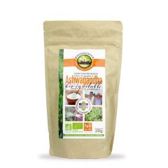 Ashwagandha Poudre Bio