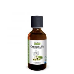 Calophylle - Huile Végétale Bio