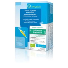 Echinacée Bio