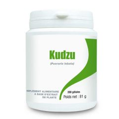 Kudzu