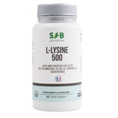 L-Lysine 500