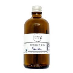 Macérât huileux solarisé - plantain Bio
