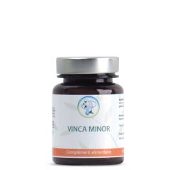 Vinca Minor
