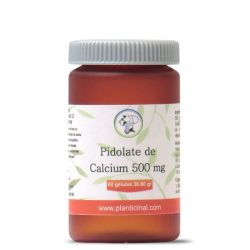Pidolate de calcium