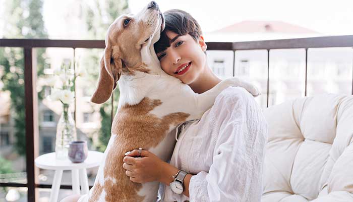 Animaux domestiques : utiliser l'argent colloïdal chez le chien et le chat