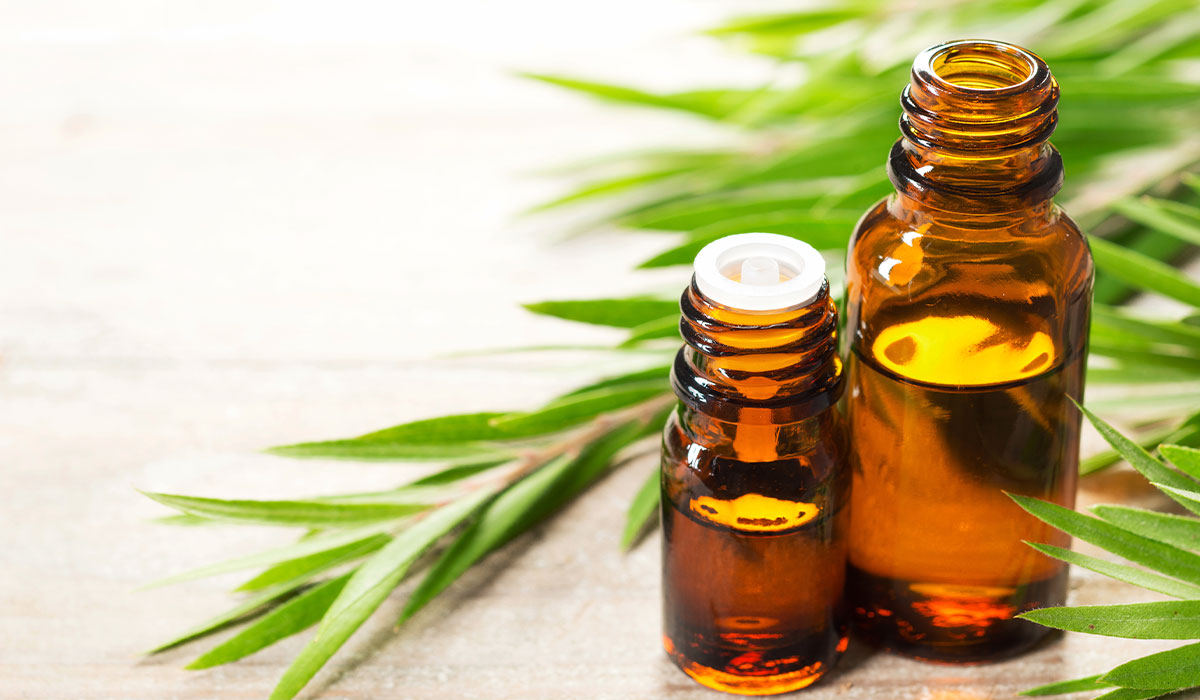 Quels sont les dangers de l'huile de tea tree ?