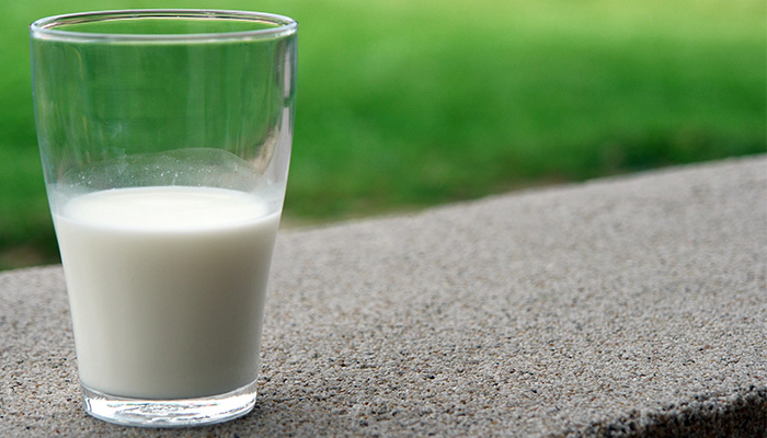 Tout savoir sur le lait